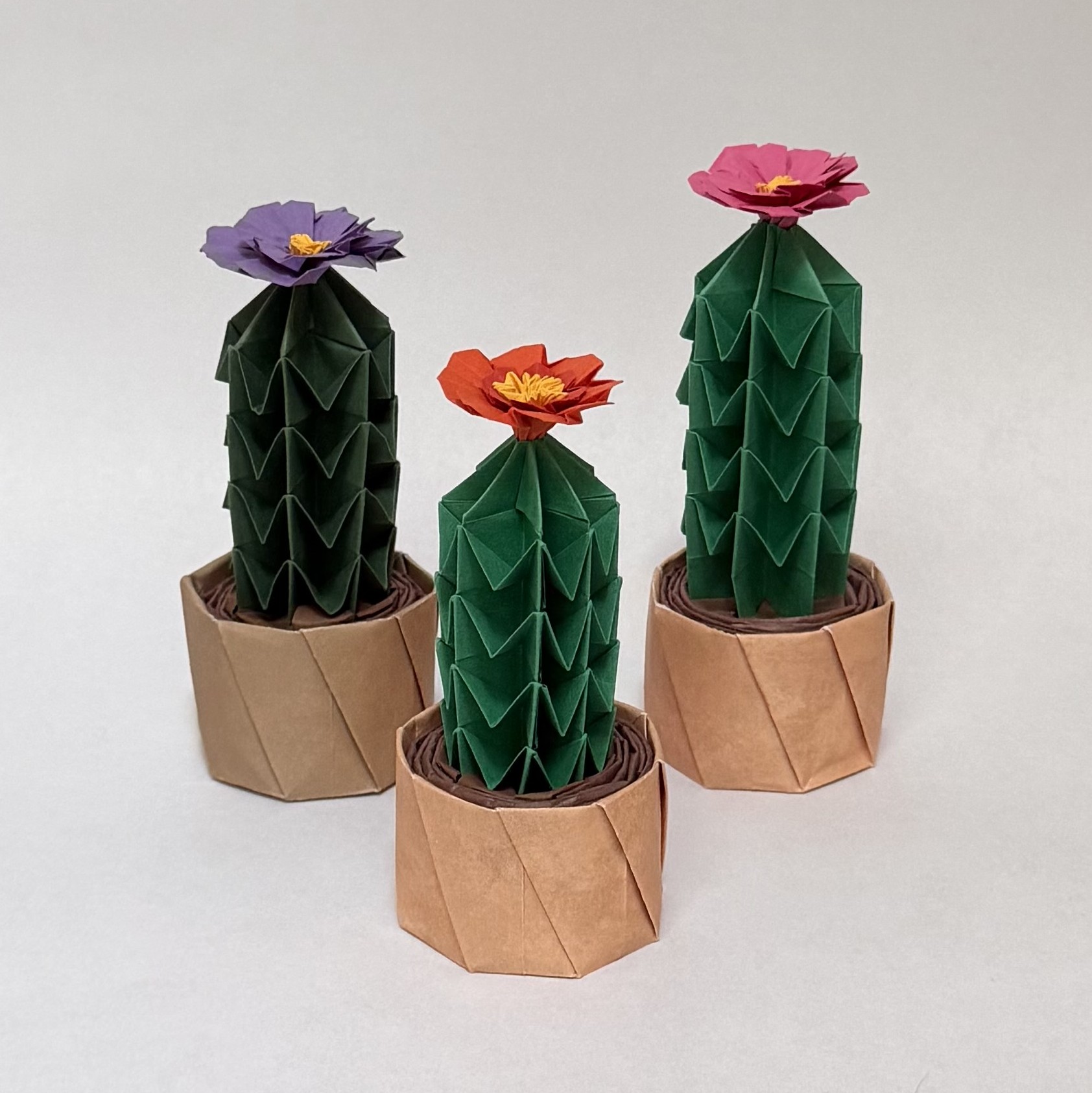 An image showing three cactus plants in brown pots blooming flowers on top, created from paper.