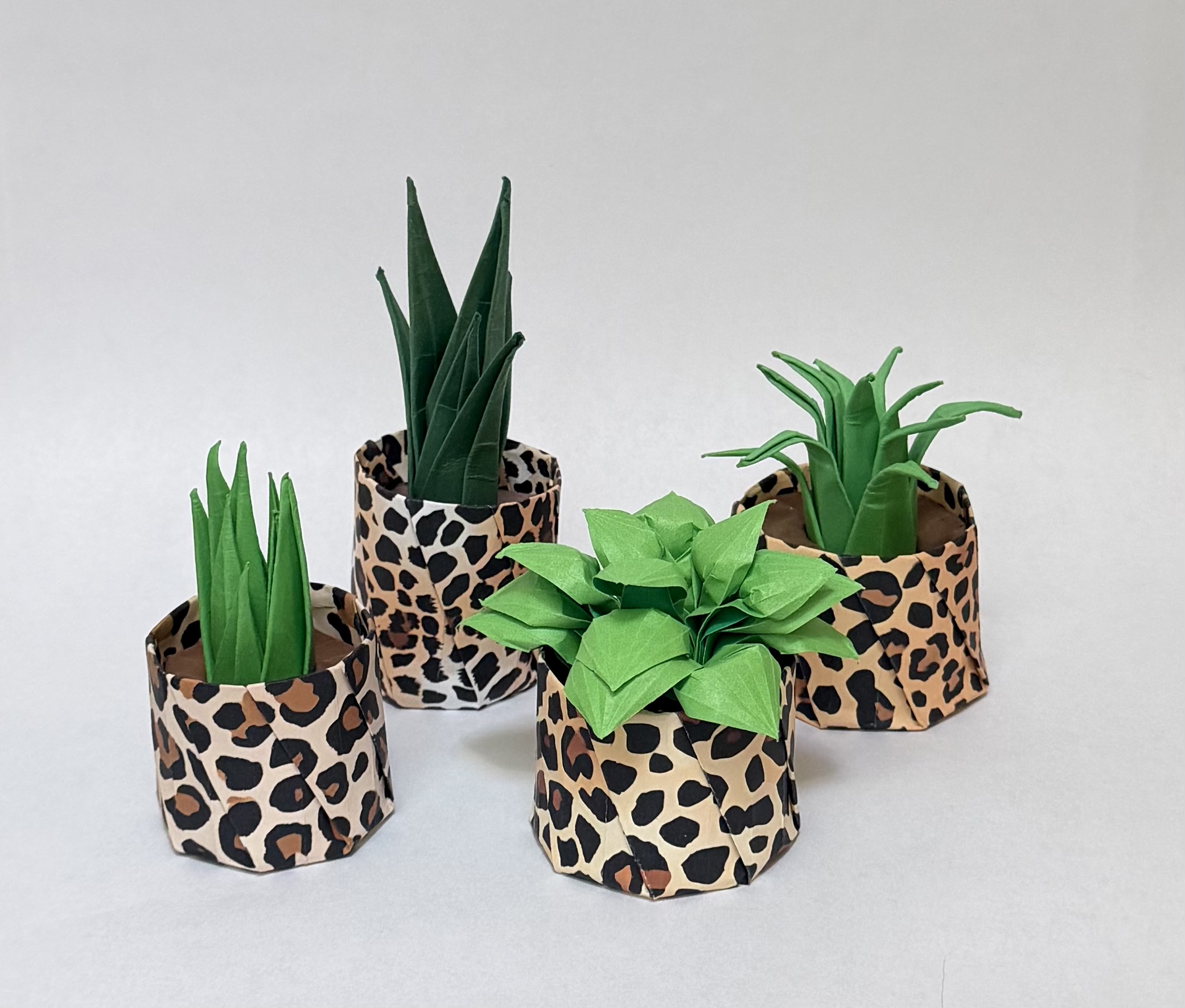 An image showing four succulents in cheetah pattern pots with rounded and spiky green leaves, created from paper.