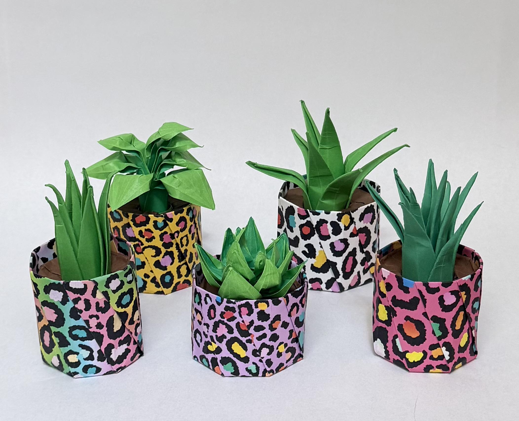 An image showing five succulents in colorful pots with rounded and spiky green leaves, created from paper.